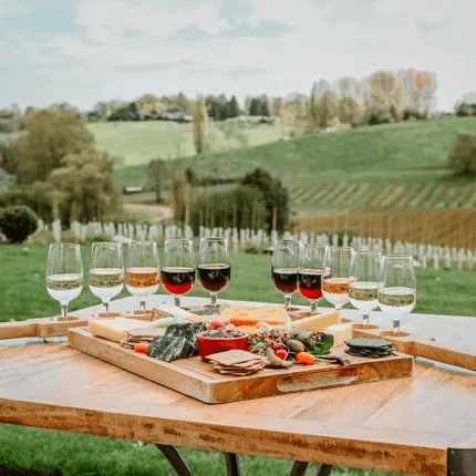 wine pic